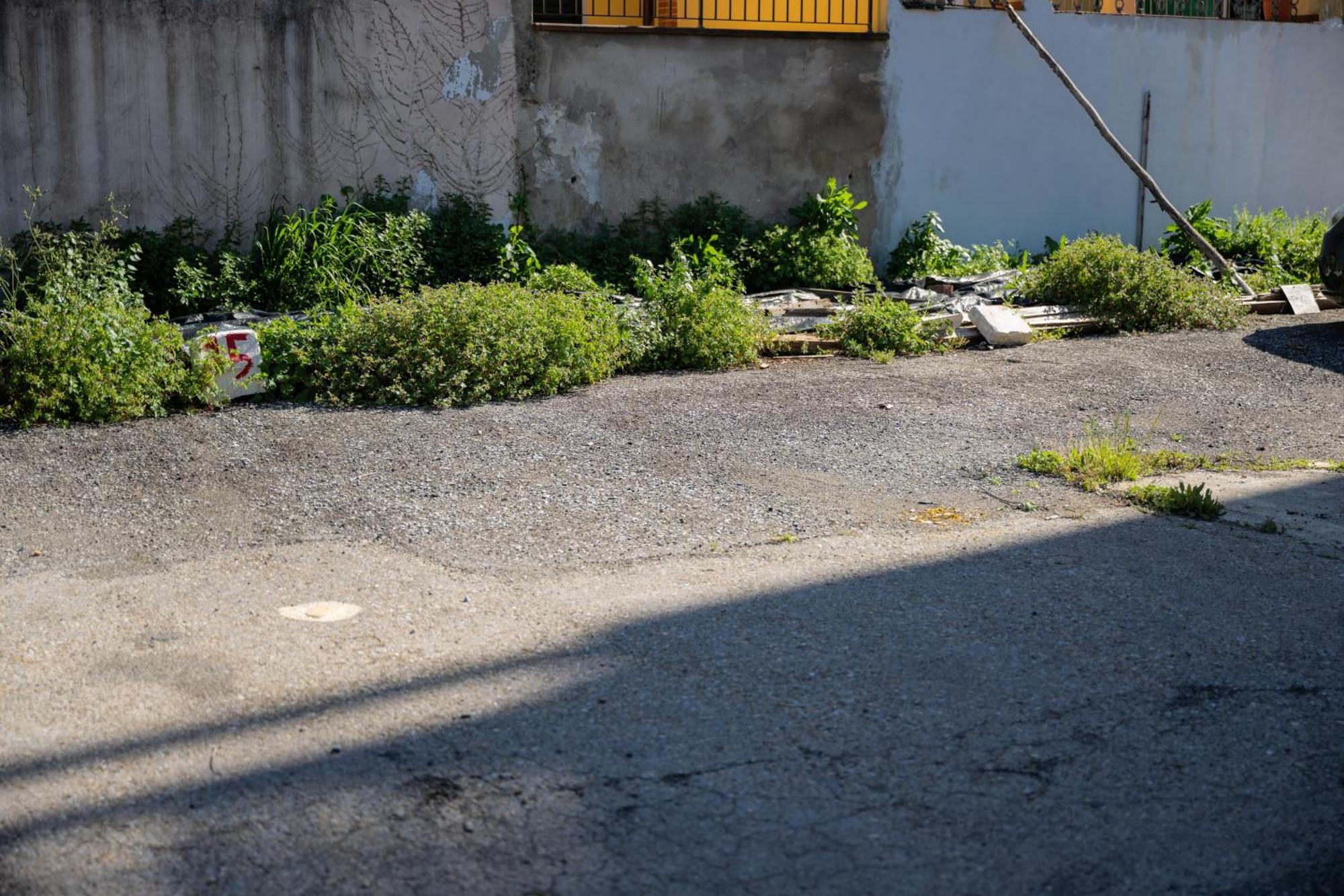 Tipica Cozy House + Parking! Διαμέρισμα Φλωρεντία Εξωτερικό φωτογραφία